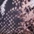 Art2345-Reptil